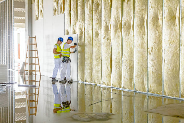 Best Spray Foam Insulation in Fairmount, GA